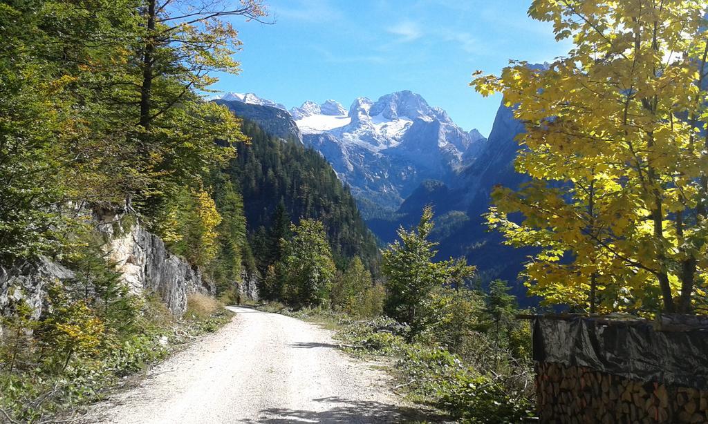 Peter Egger Apartment Gosau